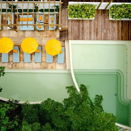 Cafe Jeri Hotel Jijoca de Jericoacoara Exteriör bild The rooftop pool at the hotel